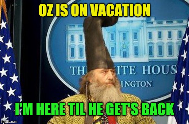 Vermin Supreme for President | OZ IS ON VACATION I'M HERE TIL HE GET'S BACK | image tagged in vermin supreme for president | made w/ Imgflip meme maker