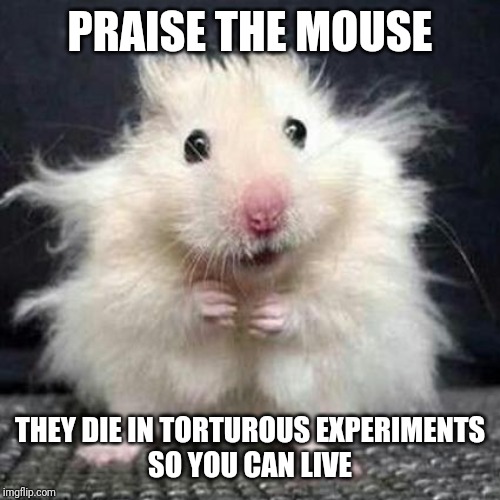 Stressed Mouse | PRAISE THE MOUSE; THEY DIE IN TORTUROUS EXPERIMENTS

SO YOU CAN LIVE | image tagged in stressed mouse | made w/ Imgflip meme maker