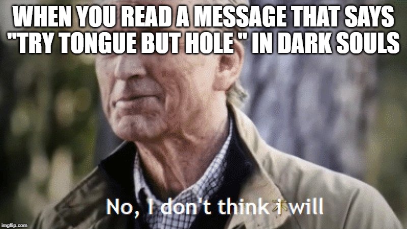 No, i dont think i will | WHEN YOU READ A MESSAGE THAT SAYS "TRY TONGUE BUT HOLE " IN DARK SOULS | image tagged in no i dont think i will | made w/ Imgflip meme maker