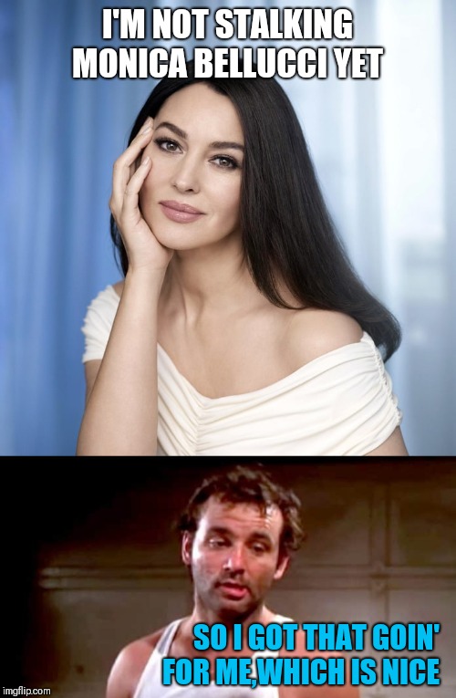 I'm showing remarkable restraint | I'M NOT STALKING MONICA BELLUCCI YET; SO I GOT THAT GOIN' FOR ME,WHICH IS NICE | image tagged in monica bellucci,memes,so i got that goin for me which is nice | made w/ Imgflip meme maker