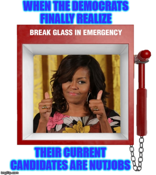 When Democrats Reach Panic Mode | WHEN THE DEMOCRATS FINALLY REALIZE; THEIR CURRENT CANDIDATES ARE NUTJOBS | image tagged in michelle obama,memes,2020 elections,joe biden,panic attack,democrats | made w/ Imgflip meme maker