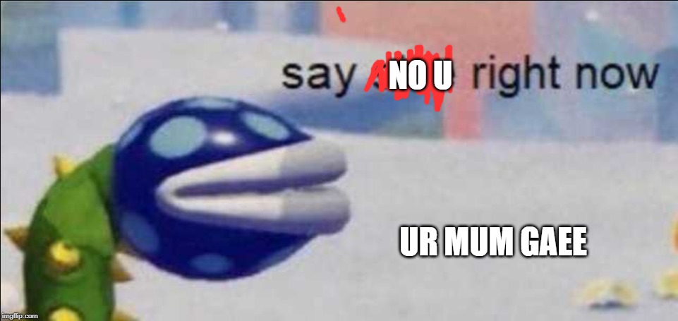 Say sike right now | NO U; UR MUM GAEE | image tagged in say sike right now | made w/ Imgflip meme maker