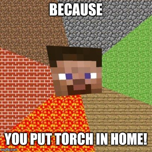 Minecraft Steve | BECAUSE YOU PUT TORCH IN HOME! | image tagged in minecraft steve | made w/ Imgflip meme maker