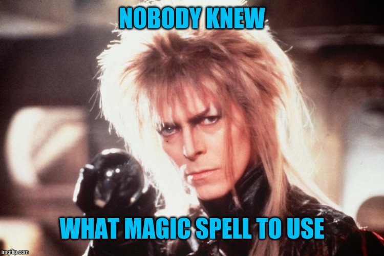 Labrynth David Bowie | NOBODY KNEW WHAT MAGIC SPELL TO USE | image tagged in labrynth david bowie | made w/ Imgflip meme maker