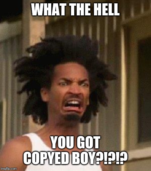 Disgusted Face | WHAT THE HELL YOU GOT COPYED BOY?!?!? | image tagged in disgusted face | made w/ Imgflip meme maker