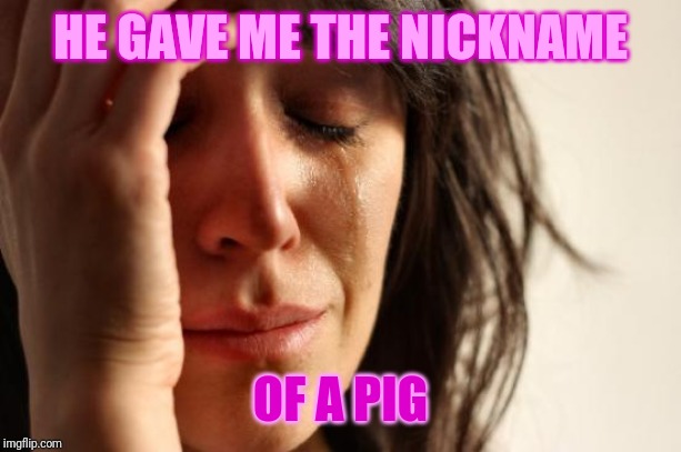 First World Problems Meme | HE GAVE ME THE NICKNAME OF A PIG | image tagged in memes,first world problems | made w/ Imgflip meme maker