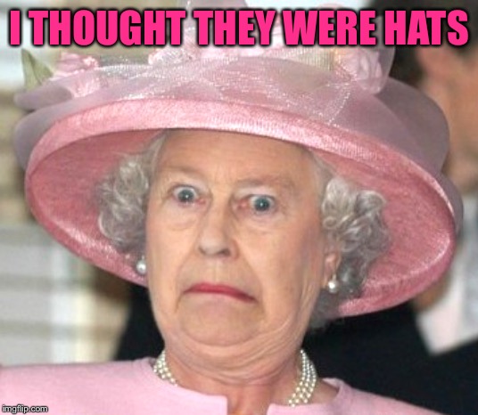 the Queen Elizabeth II | I THOUGHT THEY WERE HATS | image tagged in the queen elizabeth ii | made w/ Imgflip meme maker