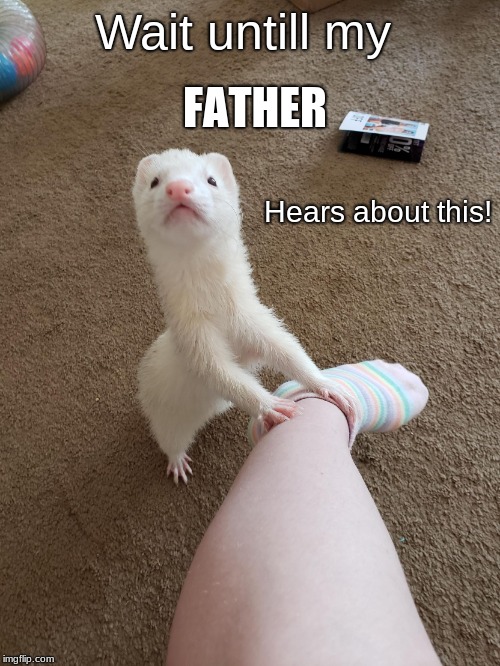 Wait untill my FATHER hears about this! | Wait untill my; FATHER; Hears about this! | image tagged in wait untill my father hears about this | made w/ Imgflip meme maker