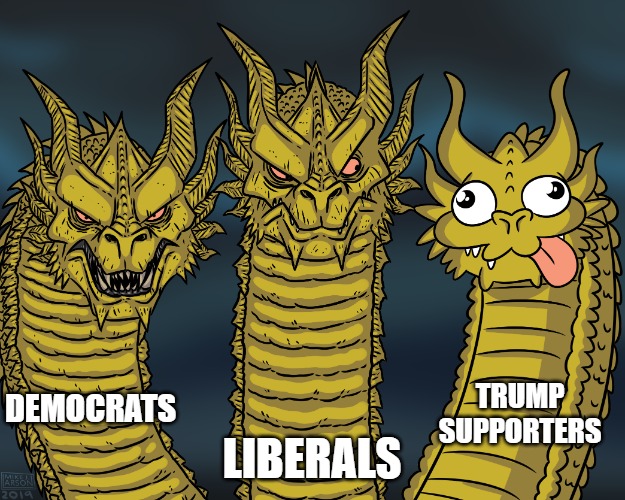 had to be made | TRUMP SUPPORTERS; LIBERALS; DEMOCRATS | image tagged in king ghidorah,politics,comedy | made w/ Imgflip meme maker