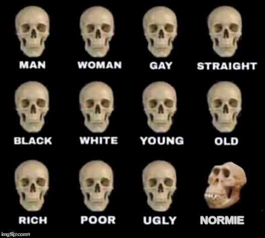 idiot skull | NORMIE | image tagged in idiot skull | made w/ Imgflip meme maker