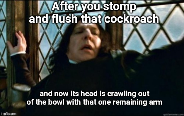 That look | After you stomp and flush that cockroach; and now its head is crawling out of the bowl with that one remaining arm | image tagged in memes,snape,cockroach,horror,funny | made w/ Imgflip meme maker
