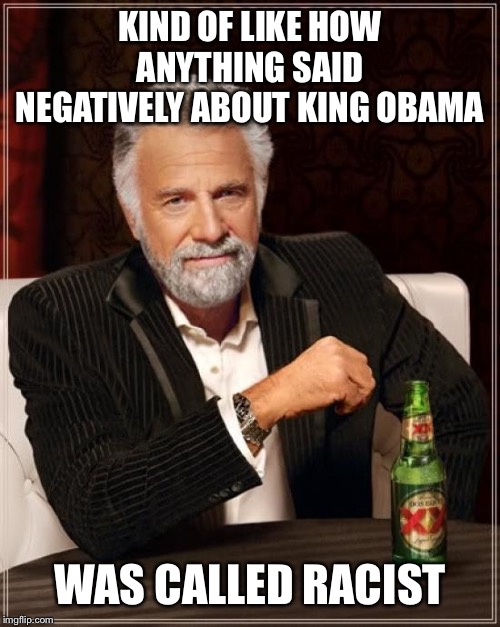 The Most Interesting Man In The World Meme | KIND OF LIKE HOW ANYTHING SAID NEGATIVELY ABOUT KING OBAMA WAS CALLED RACIST | image tagged in memes,the most interesting man in the world | made w/ Imgflip meme maker