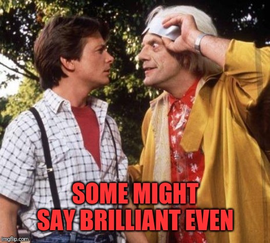 Doc Brown Marty Mcfly | SOME MIGHT SAY BRILLIANT EVEN | image tagged in doc brown marty mcfly | made w/ Imgflip meme maker