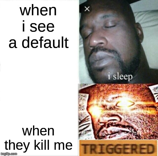 Sleeping Shaq Meme | when i see a default; when they kill me | image tagged in memes,sleeping shaq | made w/ Imgflip meme maker