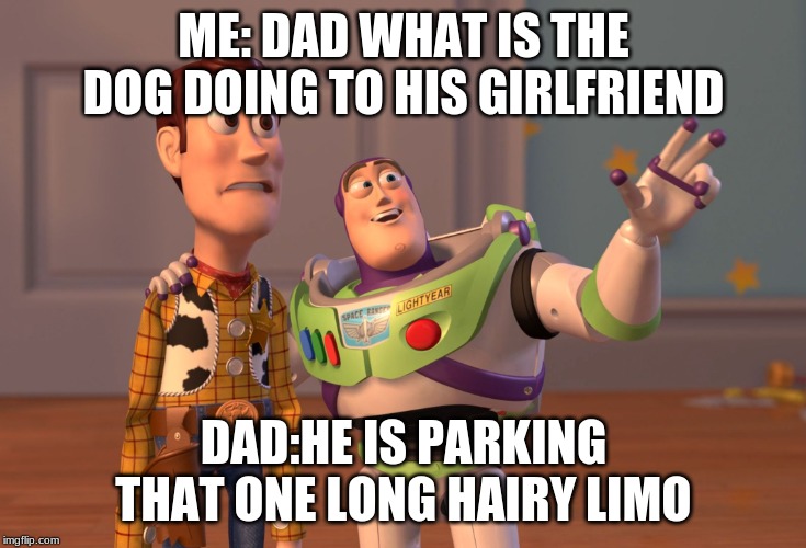 X, X Everywhere | ME: DAD WHAT IS THE DOG DOING TO HIS GIRLFRIEND; DAD:HE IS PARKING THAT ONE LONG HAIRY LIMO | image tagged in memes,x x everywhere | made w/ Imgflip meme maker