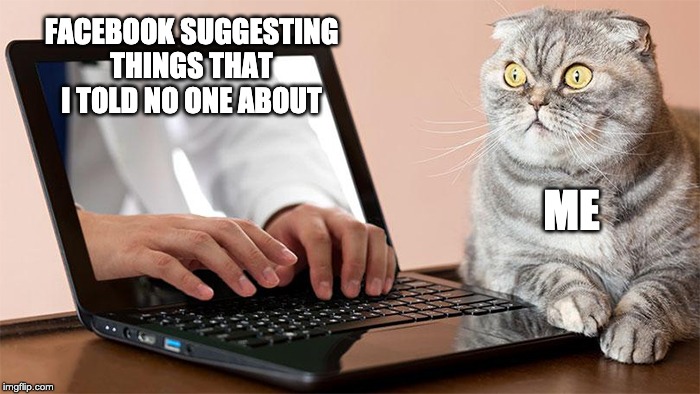 FACEBOOK SUGGESTING THINGS THAT I TOLD NO ONE ABOUT; ME | image tagged in cats,facebook,big brother,funny,comedy | made w/ Imgflip meme maker