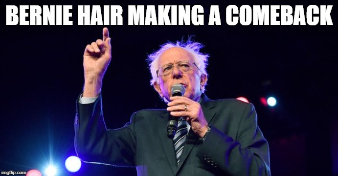 Feel The Bernie | BERNIE HAIR MAKING A COMEBACK | image tagged in bernie,hair,2020 | made w/ Imgflip meme maker