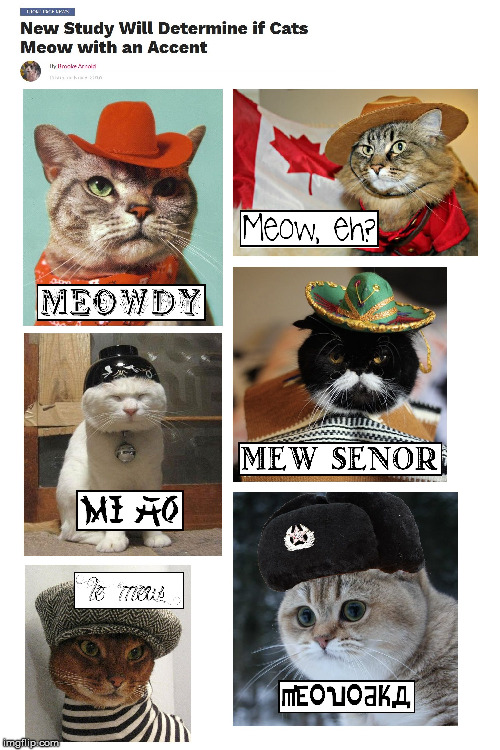 Cat Accents | image tagged in cats,russia,cowboy,canada,mexican,chinese | made w/ Imgflip meme maker