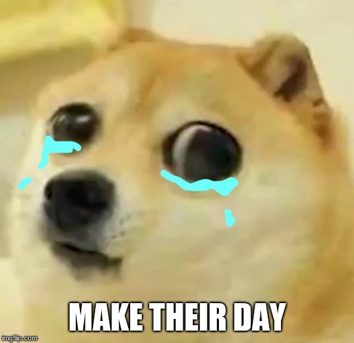 big eyes crying doge | MAKE THEIR DAY | image tagged in big eyes crying doge | made w/ Imgflip meme maker