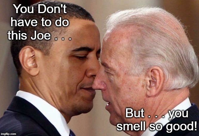 You don't have to do this Joe | You Don't have to do this Joe . . . But . . . you smell so good! | image tagged in joe biden,obama | made w/ Imgflip meme maker