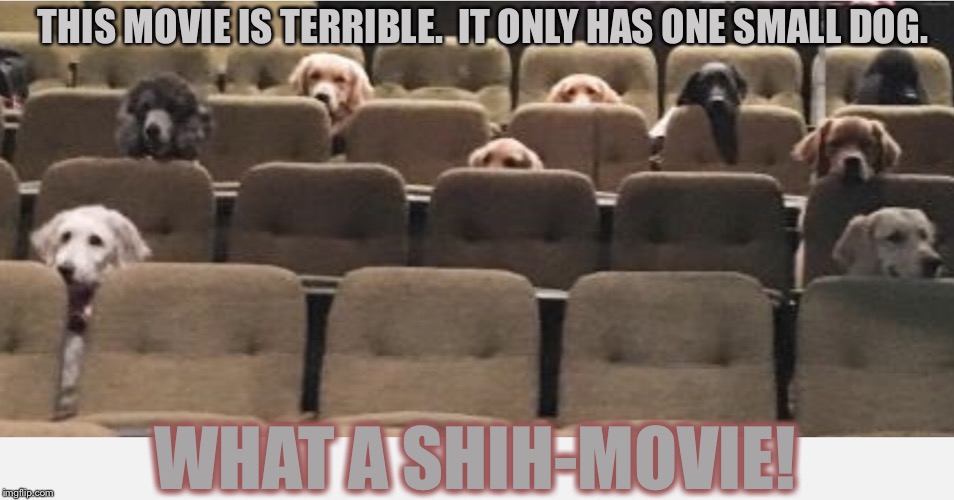 Dogs at the movies | THIS MOVIE IS TERRIBLE.  IT ONLY HAS ONE SMALL DOG. WHAT A SHIH-MOVIE! | image tagged in dogs at the movies,memes | made w/ Imgflip meme maker