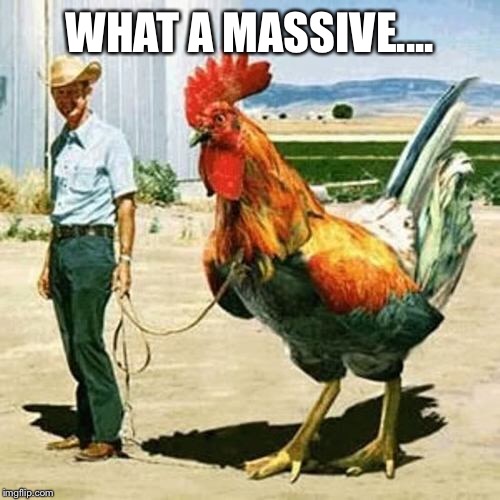 WHAT A MASSIVE.... | image tagged in funny | made w/ Imgflip meme maker