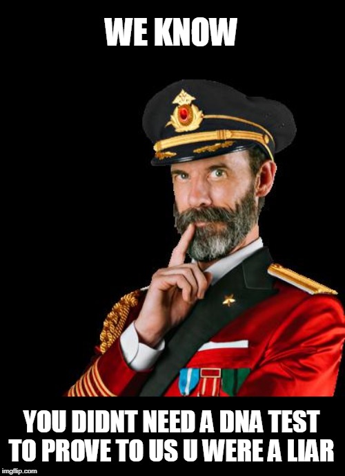 captain obvious | WE KNOW YOU DIDNT NEED A DNA TEST TO PROVE TO US U WERE A LIAR | image tagged in captain obvious | made w/ Imgflip meme maker
