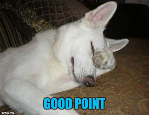 GOOD POINT | made w/ Imgflip meme maker