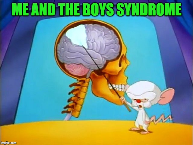 the brain | ME AND THE BOYS SYNDROME | image tagged in the brain | made w/ Imgflip meme maker