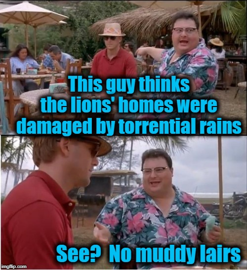 See Nobody Cares | This guy thinks the lions' homes were damaged by torrential rains; See?  No muddy lairs | image tagged in memes,see nobody cares | made w/ Imgflip meme maker