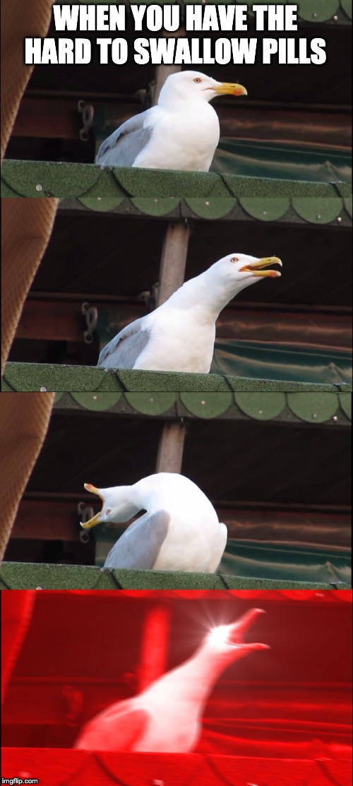 Inhaling Seagull Meme | WHEN YOU HAVE THE HARD TO SWALLOW PILLS | image tagged in memes,inhaling seagull | made w/ Imgflip meme maker