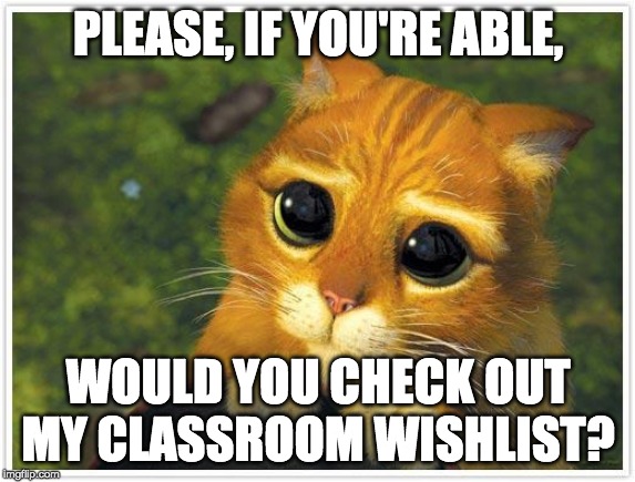 Shrek Cat Meme | PLEASE, IF YOU'RE ABLE, WOULD YOU CHECK OUT MY CLASSROOM WISHLIST? | image tagged in memes,shrek cat | made w/ Imgflip meme maker