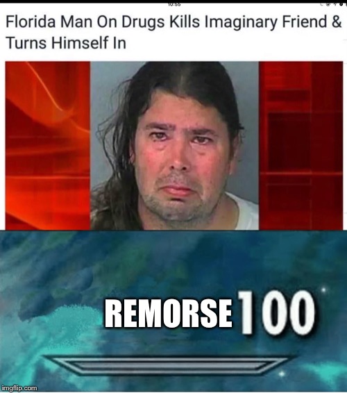 REMORSE | image tagged in skyrim 100 blank | made w/ Imgflip meme maker