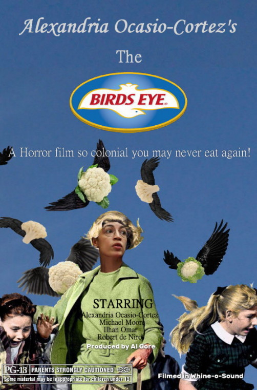 High Quality Coming Soon movie poster - The Birds Eye Blank Meme Template