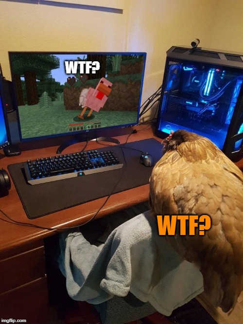 MINECRAFT CHICKEN | WTF? WTF? | image tagged in minecraft,chicken,video games | made w/ Imgflip meme maker