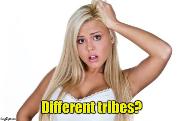 Dumb Blonde | Different tribes? | image tagged in dumb blonde | made w/ Imgflip meme maker