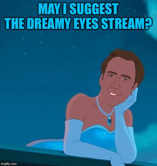 Princess Nicolas Cage | MAY I SUGGEST THE DREAMY EYES STREAM? | image tagged in princess nicolas cage | made w/ Imgflip meme maker