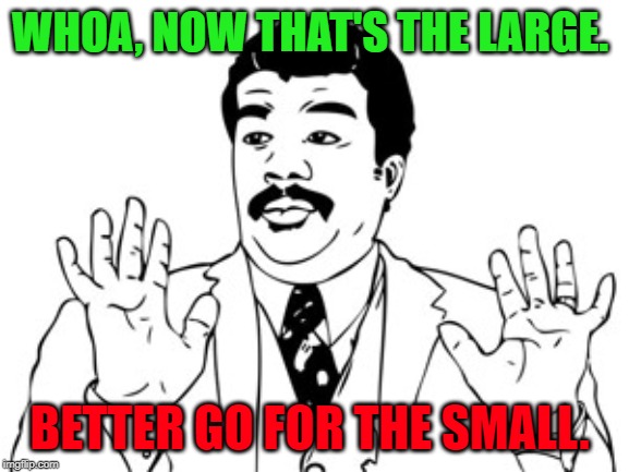 Neil deGrasse Tyson Meme | WHOA, NOW THAT'S THE LARGE. BETTER GO FOR THE SMALL. | image tagged in memes,neil degrasse tyson | made w/ Imgflip meme maker