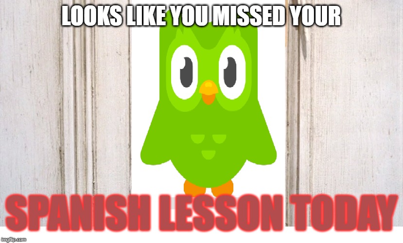 LOOKS LIKE YOU MISSED YOUR; SPANISH LESSON TODAY | made w/ Imgflip meme maker