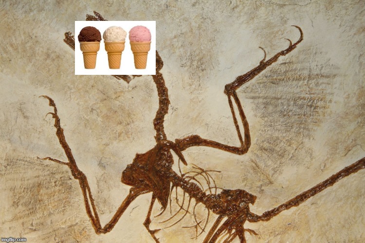 What N' Fossilization | image tagged in what n' fossilization | made w/ Imgflip meme maker