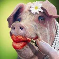 High Quality Lipstick on a pig Blank Meme Template