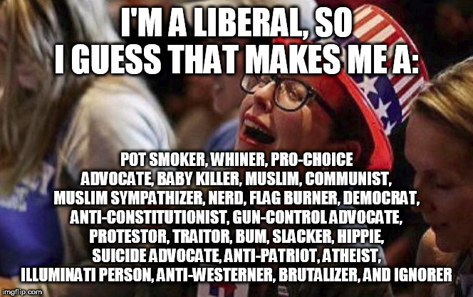 Liberal Stereotypes | I'M A LIBERAL, SO I GUESS THAT MAKES ME A:; POT SMOKER, WHINER, PRO-CHOICE ADVOCATE, BABY KILLER, MUSLIM, COMMUNIST, MUSLIM SYMPATHIZER, NERD, FLAG BURNER, DEMOCRAT, ANTI-CONSTITUTIONIST, GUN-CONTROL ADVOCATE, PROTESTOR, TRAITOR, BUM, SLACKER, HIPPIE, SUICIDE ADVOCATE, ANTI-PATRIOT, ATHEIST, ILLUMINATI PERSON, ANTI-WESTERNER, BRUTALIZER, AND IGNORER | image tagged in crying liberal,liberal,liberals,stereotype,stereotypes,stereotypical | made w/ Imgflip meme maker