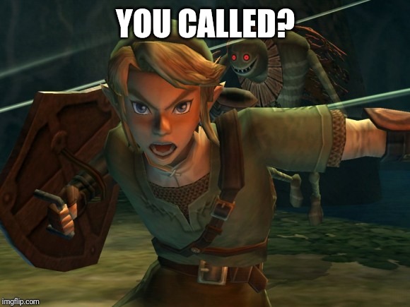 Link Legend of Zelda Yelling | YOU CALLED? | image tagged in link legend of zelda yelling | made w/ Imgflip meme maker