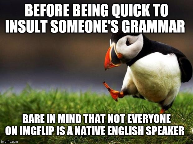 Just something to consider :-) | BEFORE BEING QUICK TO INSULT SOMEONE'S GRAMMAR; BARE IN MIND THAT NOT EVERYONE ON IMGFLIP IS A NATIVE ENGLISH SPEAKER | image tagged in memes,unpopular opinion puffin | made w/ Imgflip meme maker