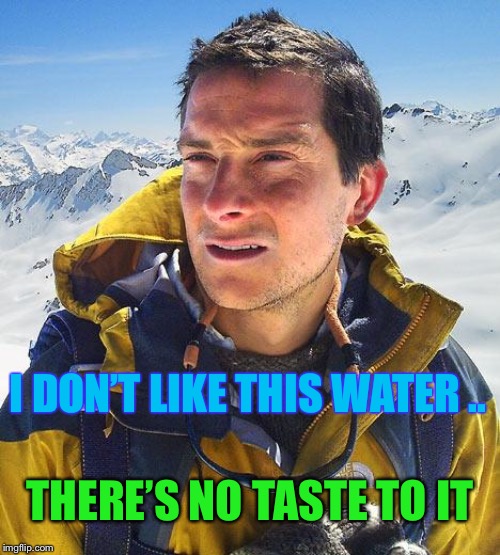 Bear Grylls Meme | I DON’T LIKE THIS WATER .. THERE’S NO TASTE TO IT | image tagged in memes,bear grylls | made w/ Imgflip meme maker