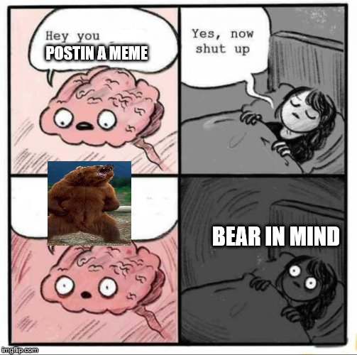 Brain Sleep Meme | POSTIN A MEME BEAR IN MIND | image tagged in brain sleep meme | made w/ Imgflip meme maker