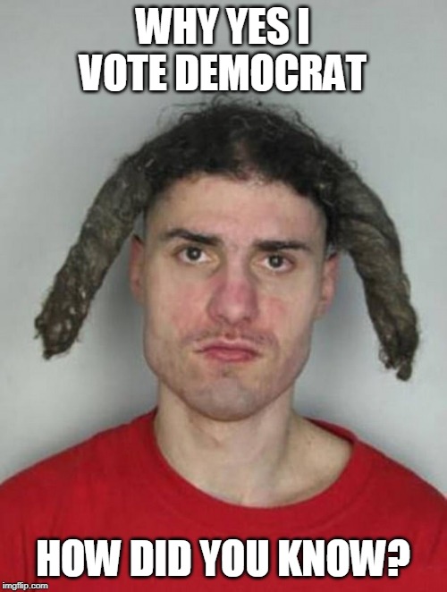 democrat | WHY YES I VOTE DEMOCRAT; HOW DID YOU KNOW? | image tagged in democrat | made w/ Imgflip meme maker