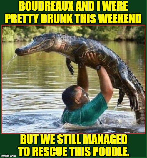 The Joys of Living in Bayou Gauche |  BOUDREAUX AND I WERE PRETTY DRUNK THIS WEEKEND; BUT WE STILL MANAGED TO RESCUE THIS POODLE. | image tagged in vince vance,cajun,swamp,alligators,louisiana,drunk | made w/ Imgflip meme maker