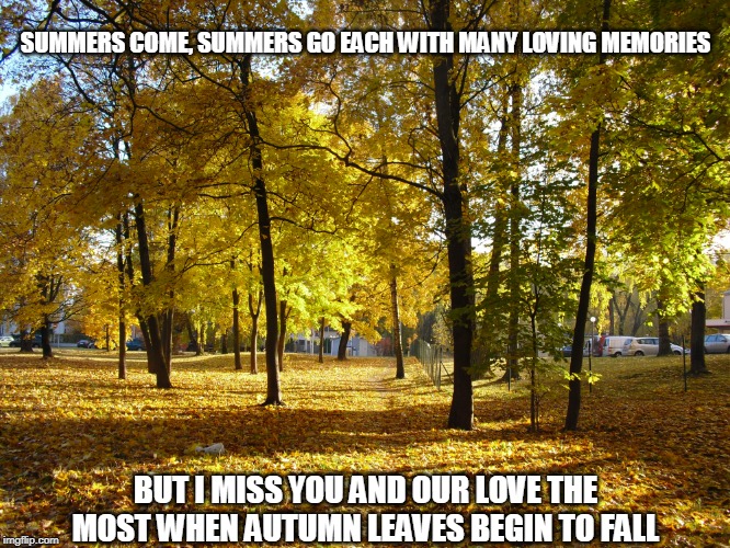 Autumn Leaves Begin to Fall | SUMMERS COME, SUMMERS GO EACH WITH MANY LOVING MEMORIES; BUT I MISS YOU AND OUR LOVE THE MOST WHEN AUTUMN LEAVES BEGIN TO FALL | image tagged in summer,love,autumn,autumn leaves | made w/ Imgflip meme maker