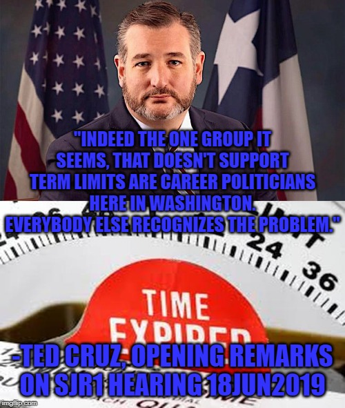 "INDEED THE ONE GROUP IT SEEMS, THAT DOESN'T SUPPORT TERM LIMITS ARE CAREER POLITICIANS HERE IN WASHINGTON. EVERYBODY ELSE RECOGNIZES THE PROBLEM."; -TED CRUZ, OPENING REMARKS ON SJR1 HEARING 18JUN2019 | image tagged in ted cruz,congress | made w/ Imgflip meme maker